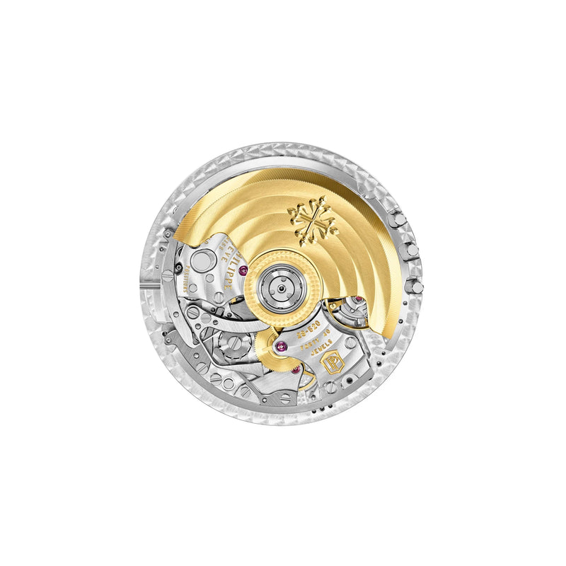 Patek Philippe Complications Chronograph, Annual Calendar 5961R-010